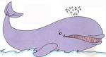 baleine