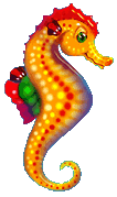 HIPPOCAMPE