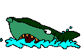 requin
